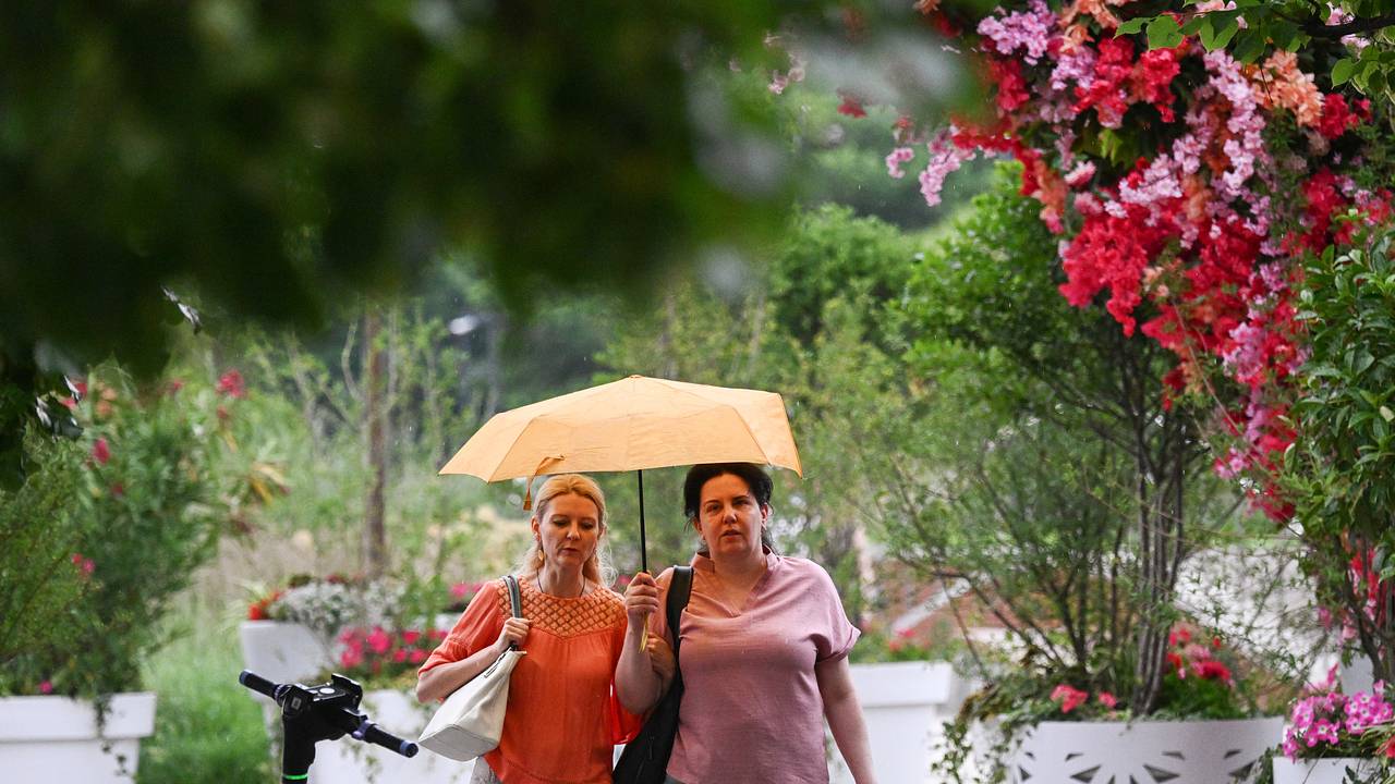 Москвичей предупредили о ежедневных осадках