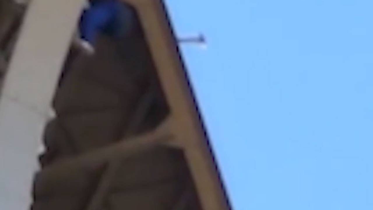 Турист забрался на Эйфелеву башню, развесил флаги США и попал на видео