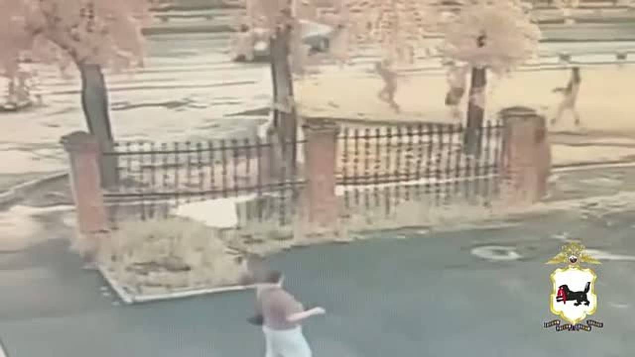 Кровавая бойня со стрельбой на улице российского города попала на видео