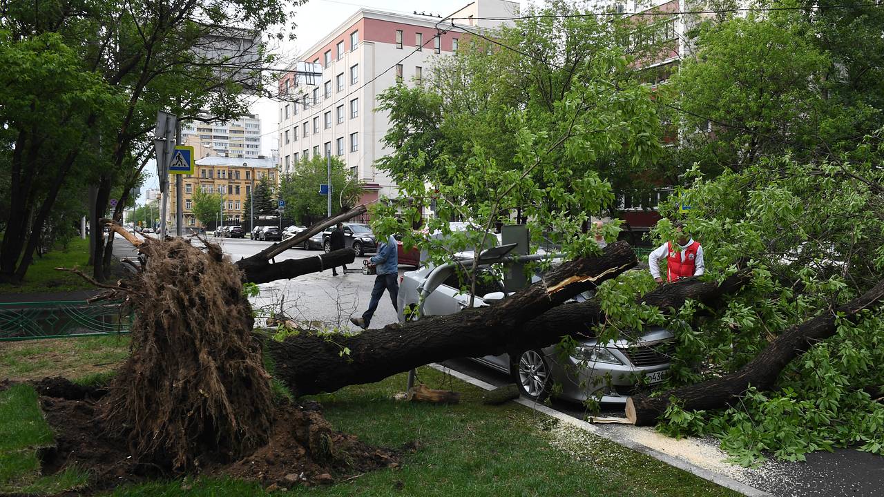 Вероятность смерчей в Москве оценили