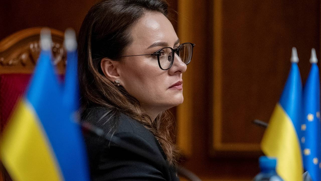 Бывший депутат Рады назвал причину отставки Свириденко