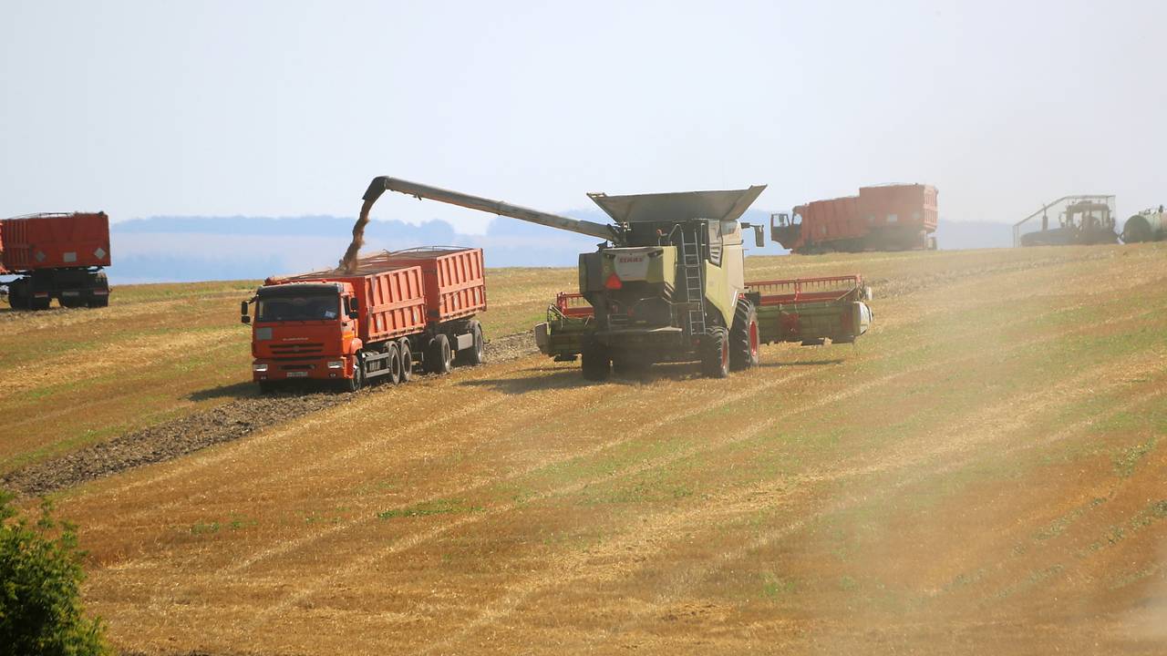 Россия заметно нарастила вывоз агропродукции