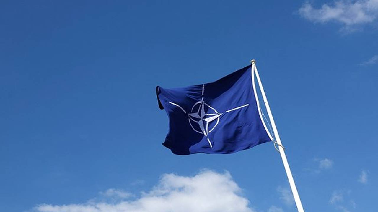 Страна НАТО нарастила импорт российского сыра