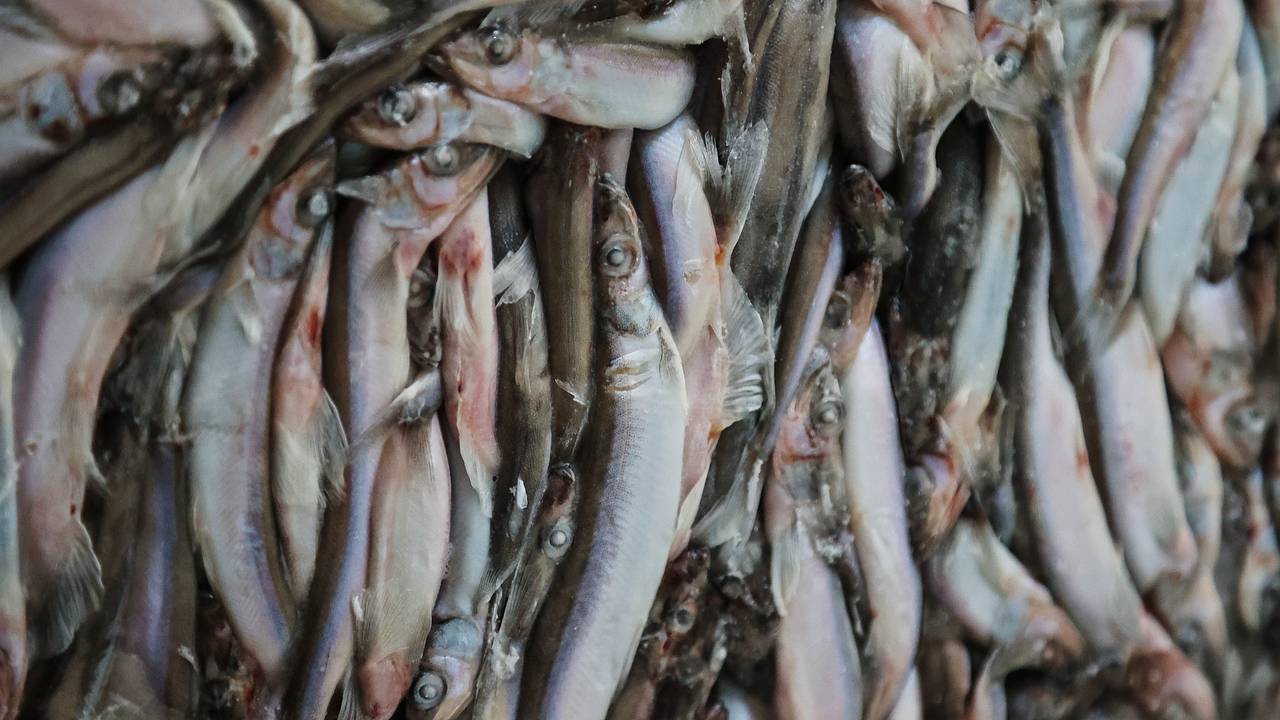 Китай предъявил высокий спрос на пять видов российской агропродукции Китай предъявил высокий спрос на пять видов российской агропродукции