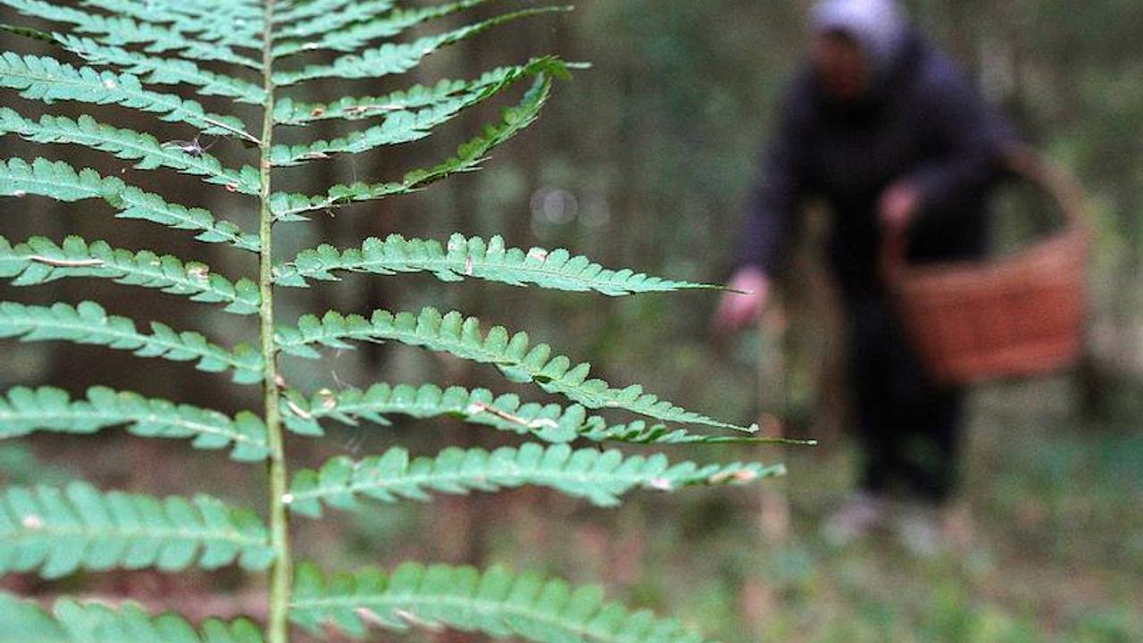 Россиян предостерегли от одного действия после жары