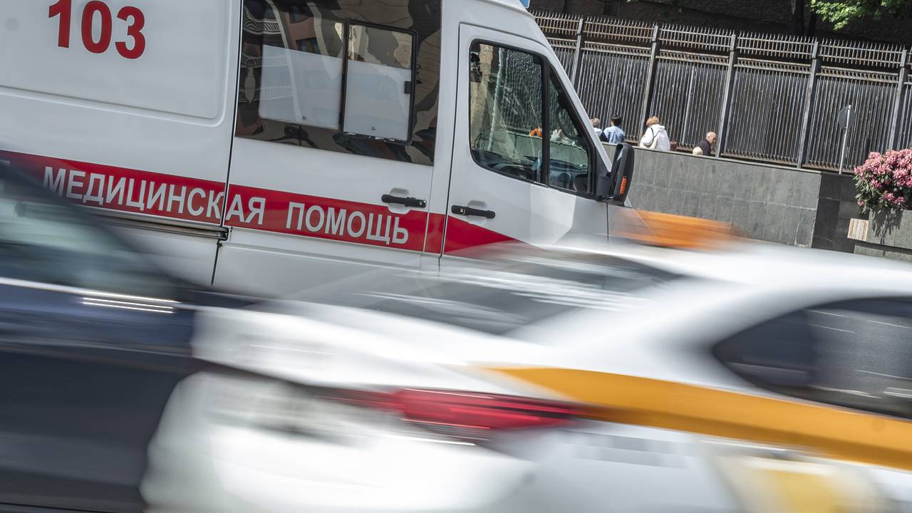 Семилетнему внуку Дарьи Донцовой порвала лицо собака