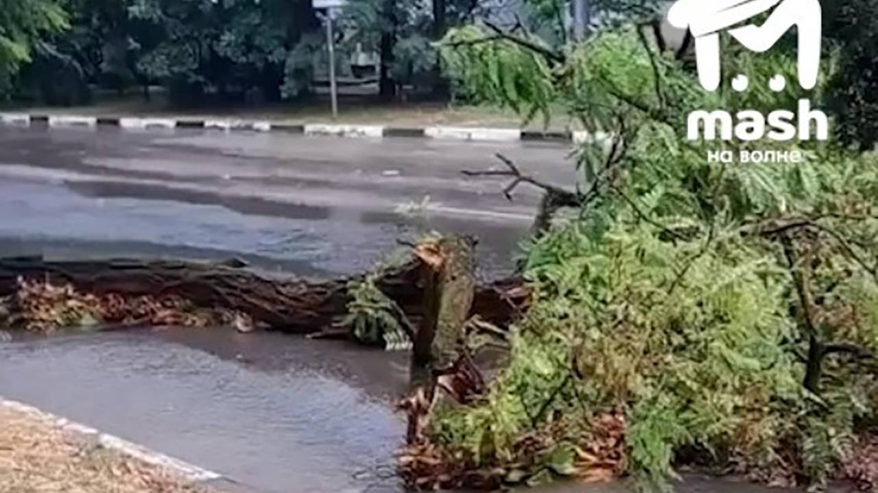 Затопленный дождем Севастополь попал на видео