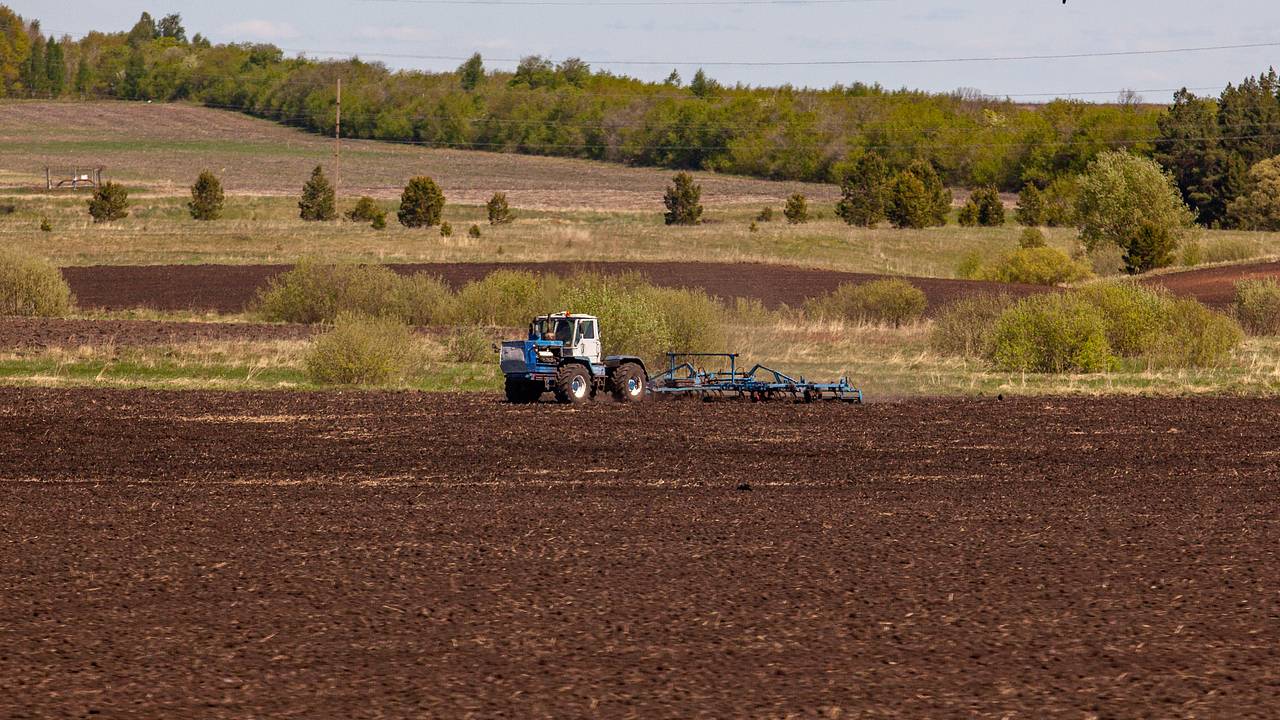 В российском селе пожаловались на зловоние от затопленного фекалиями поля