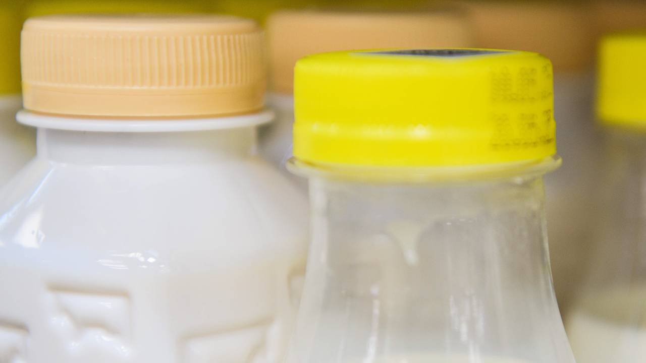 Названы главные покупатели российской молочной продукции