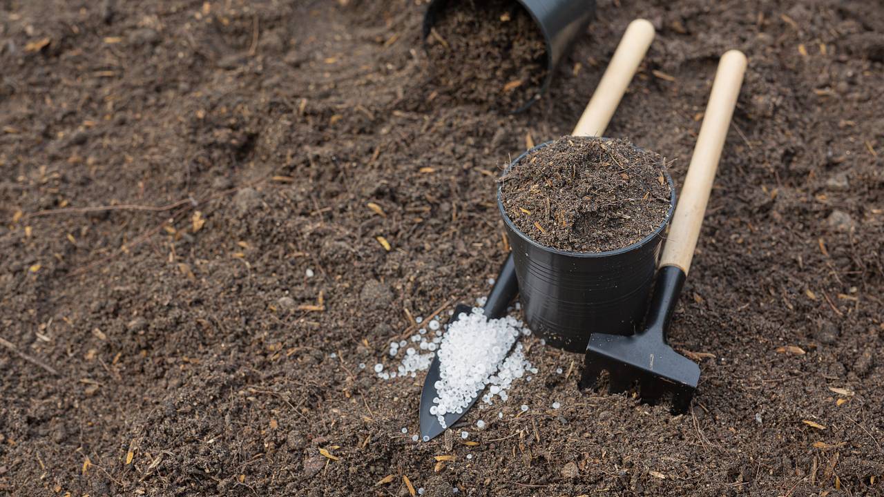 Дачникам назвали главные ошибки в использовании удобрений