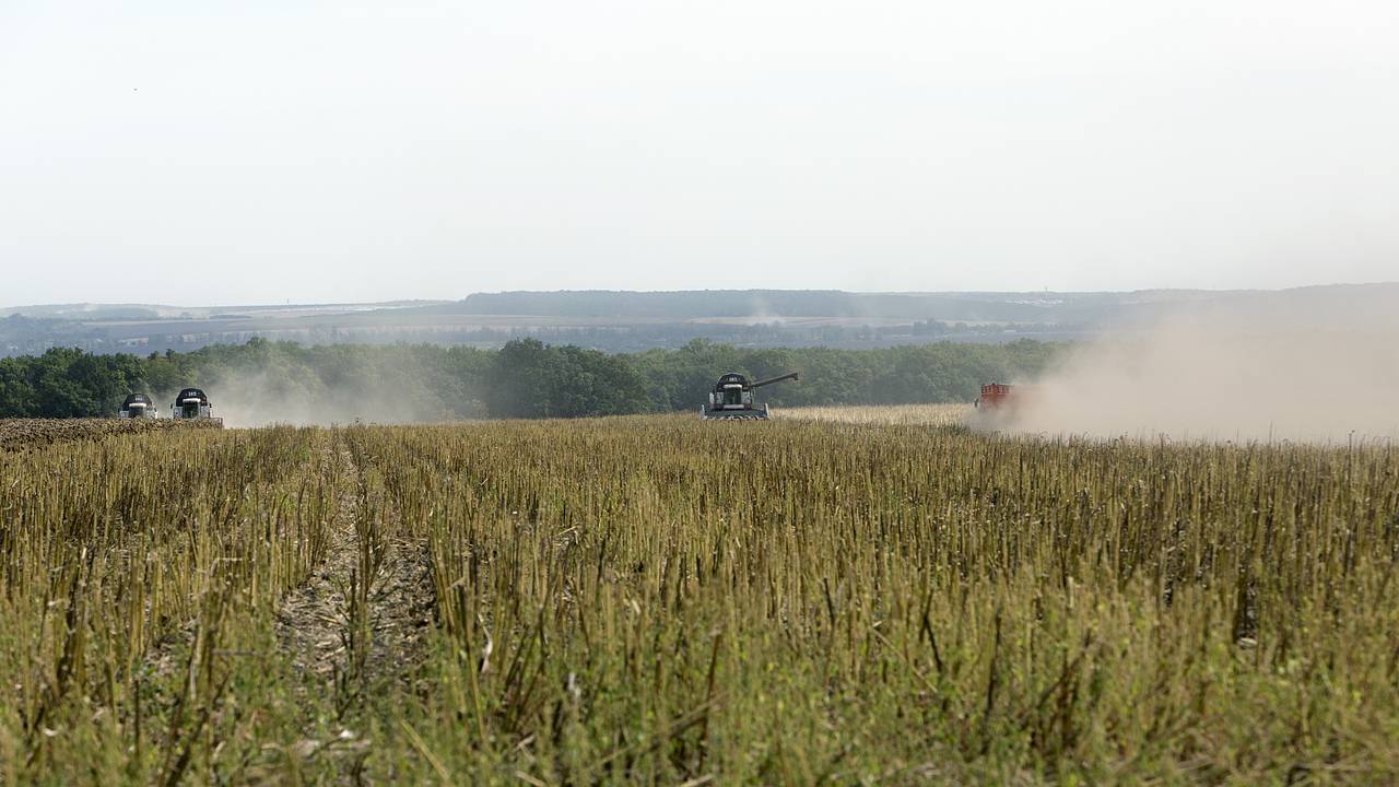 Украинские аграрии попросили помощи из-за остановки работы черноморских портов Украинские аграрии попросили помощи из-за остановки работы черноморских портов