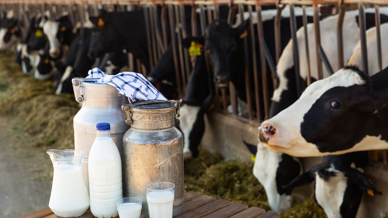 Готовность россиян покупать фермерские продукты оценили