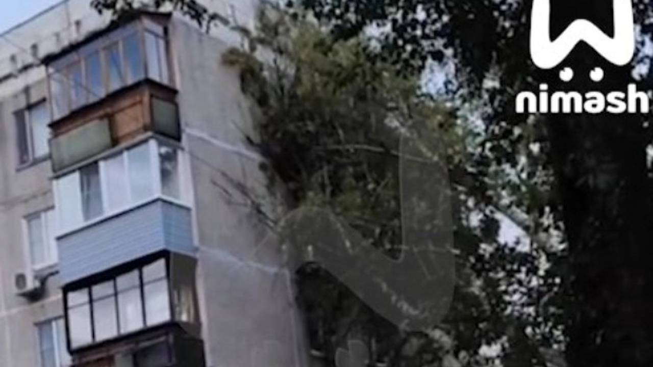 В российском городе упавшее дерево выбило окна и сломало кондиционеры в многоэтажке В российском городе упавшее дерево выбило окна и сломало кондиционеры в многоэтажке
