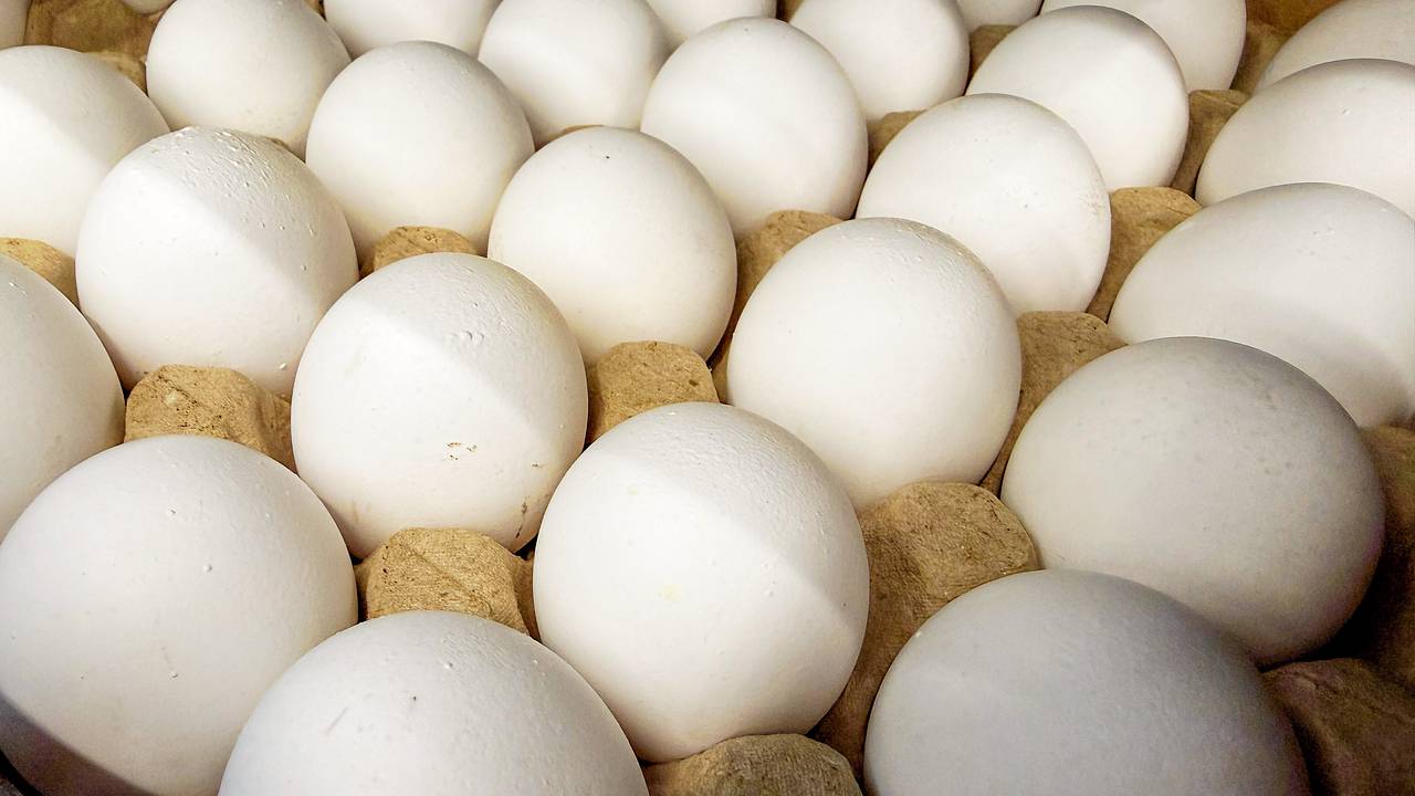 Россия запретила поставки яиц из одной страны