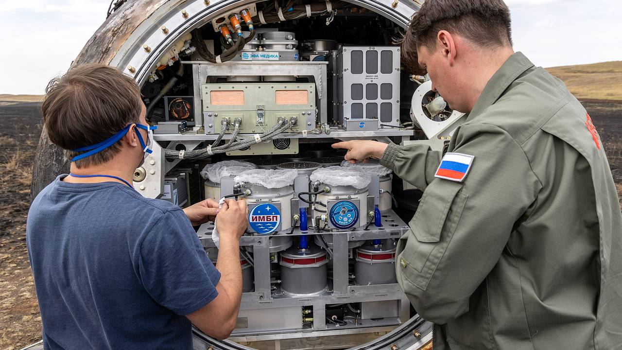 Стало известно об оборудовании российского «Биона-М» № 3