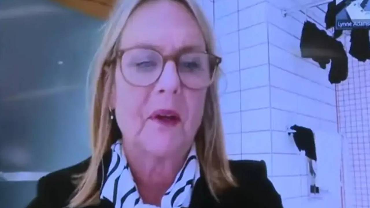 Женщина-политик присоединилась к онлайн-заседанию из ванной и показала нижнее белье