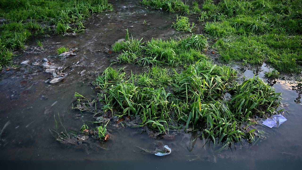 В одной стране химикатами оказались загрязнены все водоемы