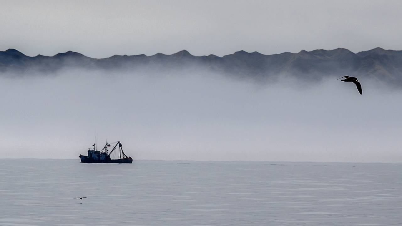 Раскрыто еще одно обстоятельство гибели российских моряков в Китае