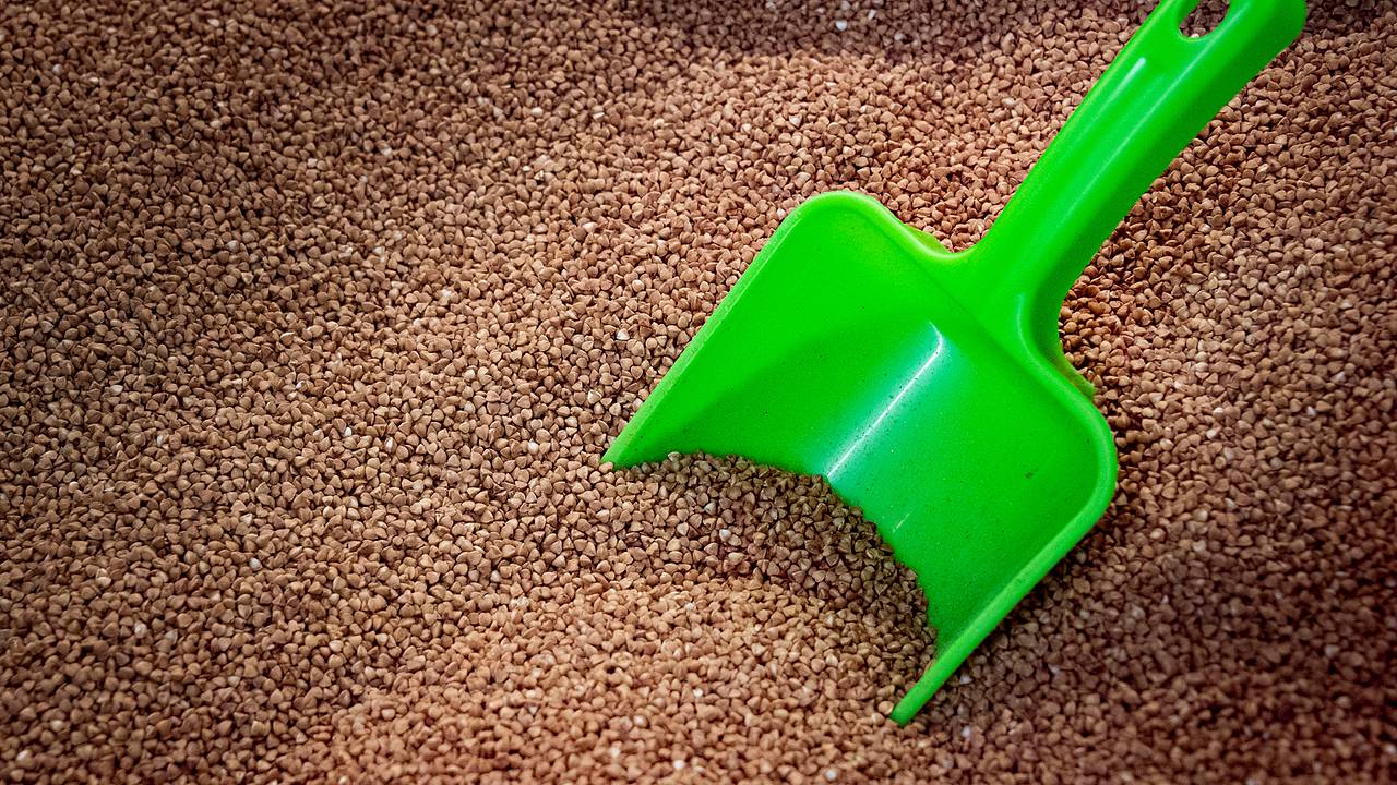 Россиян призвали не паниковать из-за подорожания ключевого продукта питания