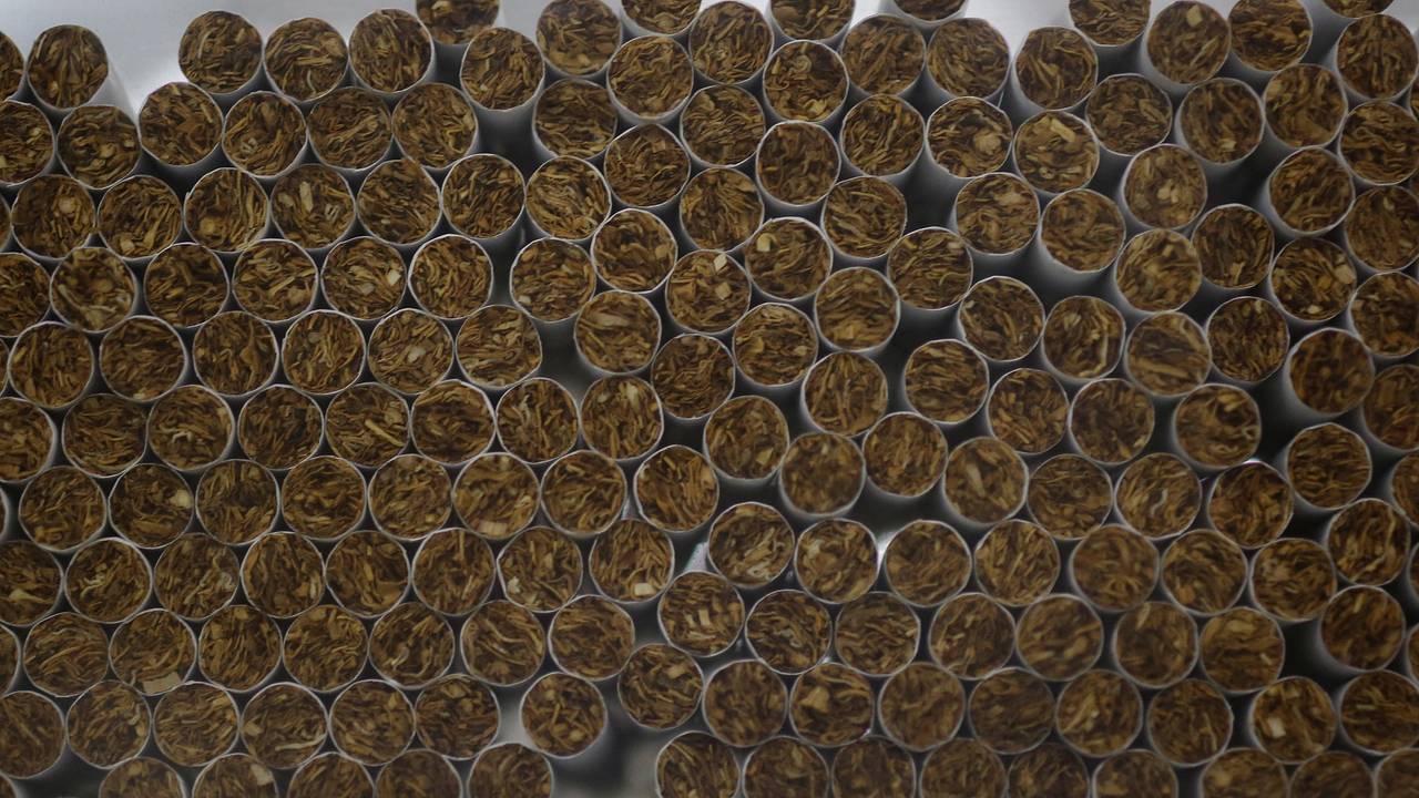 В Латвии нашли секретную фабрику с украинскими рабочими