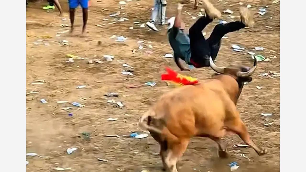 Бык вонзил рог в ягодицы участника корриды и попал на видео