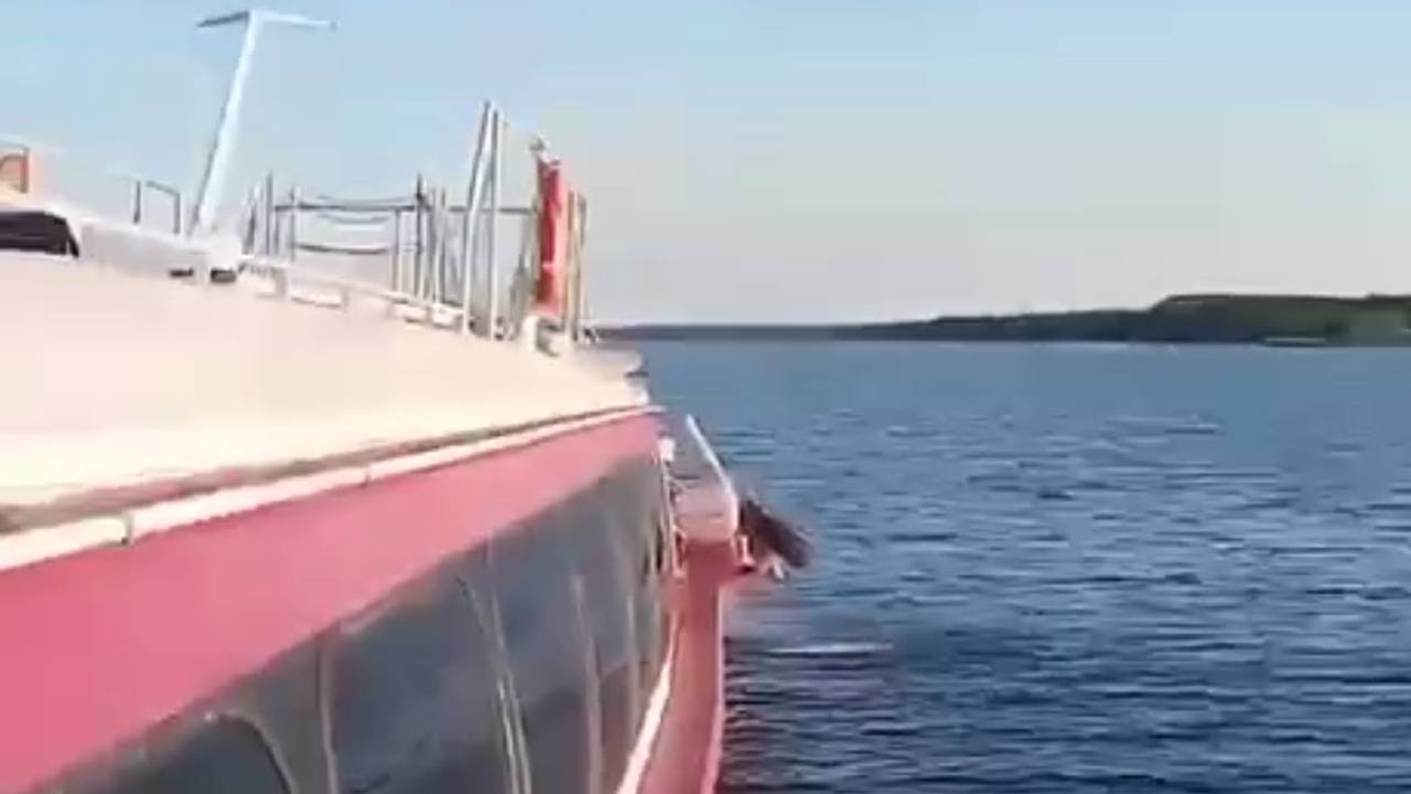 Севший на мель в российском регионе пассажирский теплоход сняли на видео