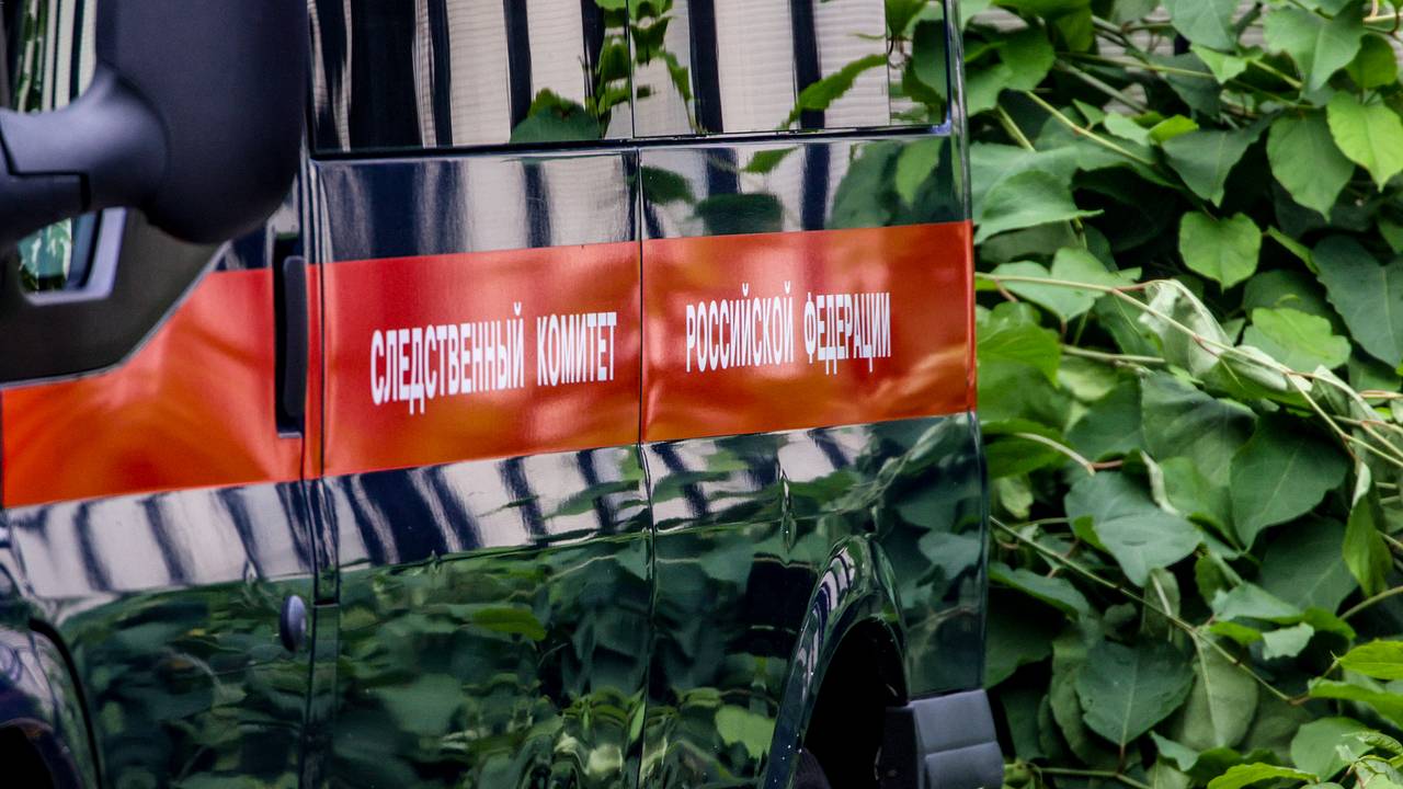 Одна из убивших 12-летнего ребенка школьниц издевалась над животными и потрошила игрушки