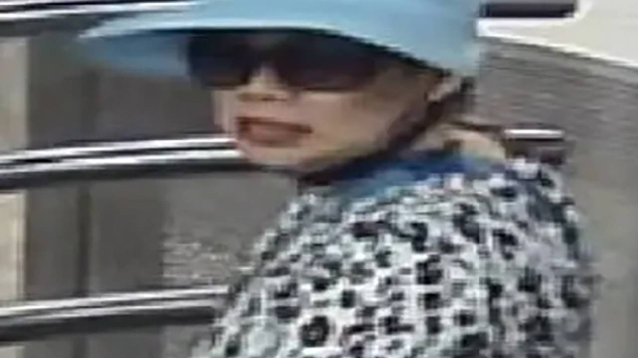Мать спасла шестилетнюю дочь от загадочной похитительницы в метро